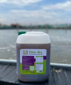 khoáng mặn Vino wa