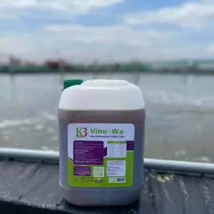 khoáng mặn Vino wa