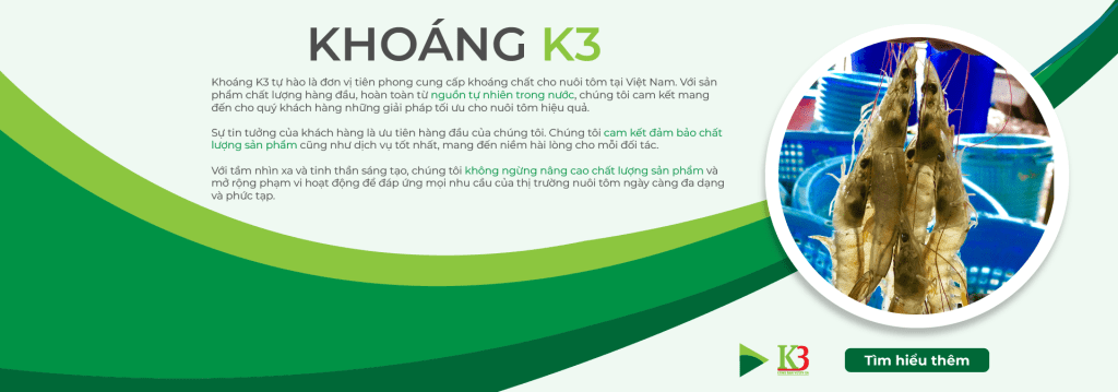 khoáng k3
