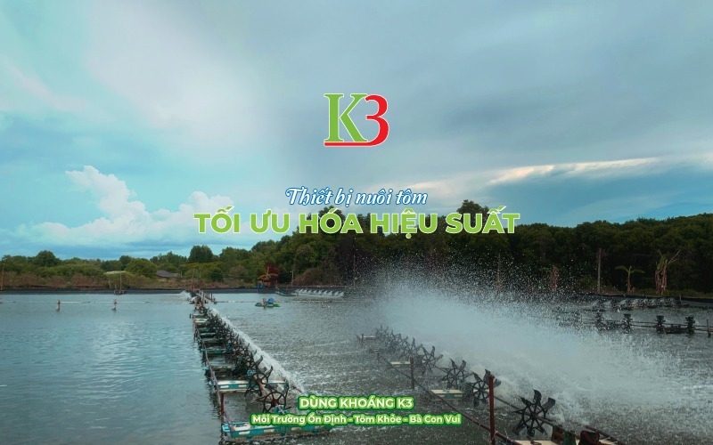 Thiết Bị Nuôi Tôm Cần Có Trong Ao Nuôi