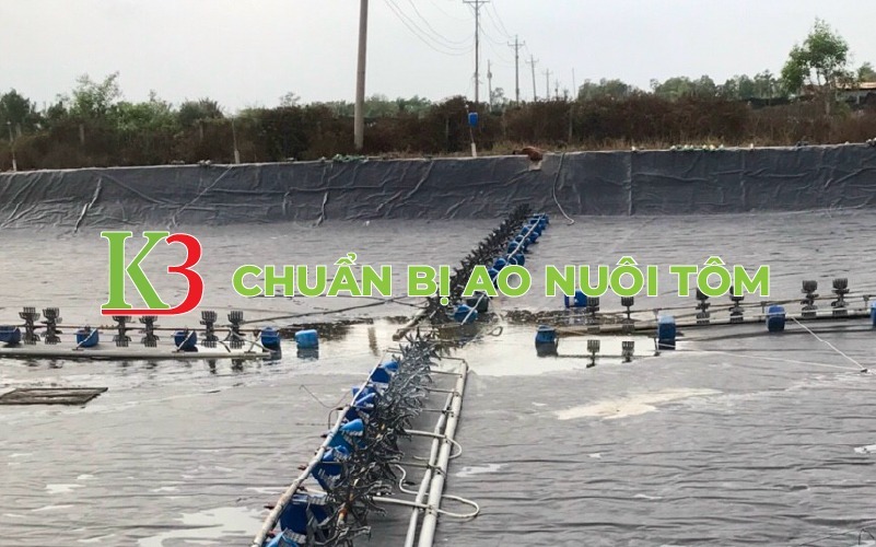 lưu ý khi chuẩn bị ao nuôi tôm thẻ chân trắng