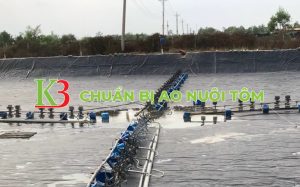 chuẩn bị ao nuôi tôm thẻ chân trắng