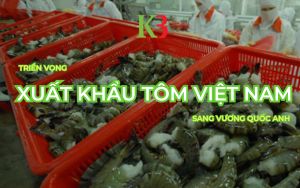 Triển vọng Xuất khẩu Tôm Việt Nam sang Vương quốc Anh: Lợi thế từ UKVFTA và Xu hướng Tăng trưởng
