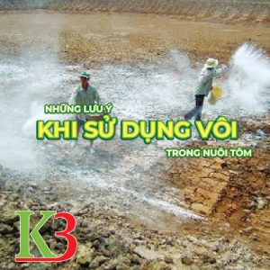 Những lưu ý khi sử dụng vôi trong nuôi tôm