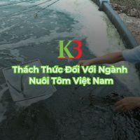 Thách Thức Đối Với Ngành Nuôi Tôm Việt Nam