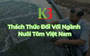 Thách Thức Đối Với Ngành Nuôi Tôm Việt Nam