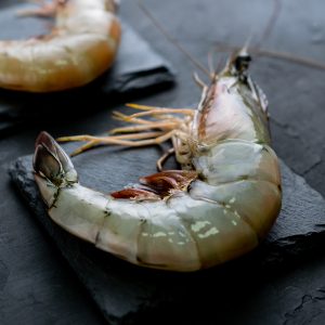 sơ chế tôm tươi