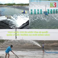 THAY NƯỚC CHO ÁO NUÔI TÔM