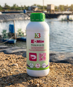 Emin Khoáng ăn cao cấp, khoáng k3