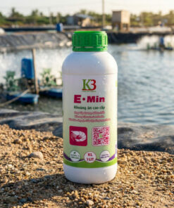 khoán k3 khoáng ăn emin