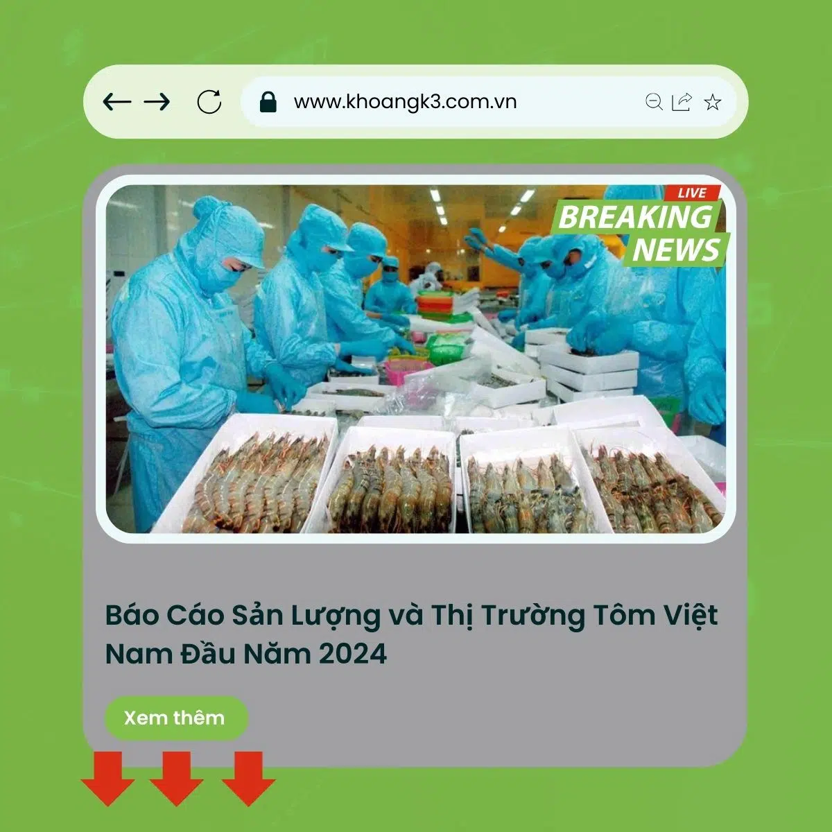 Báo Cáo Sản Lượng và Thị Trường Tôm Việt Nam Đầu Năm 2024