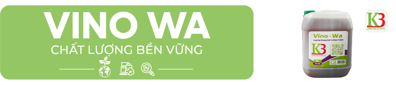 vino wa khoáng bền vững