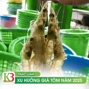Thảo luận giá tôm năm 2025
