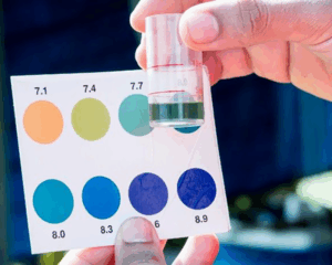 đo độ pH và độ Kiềm