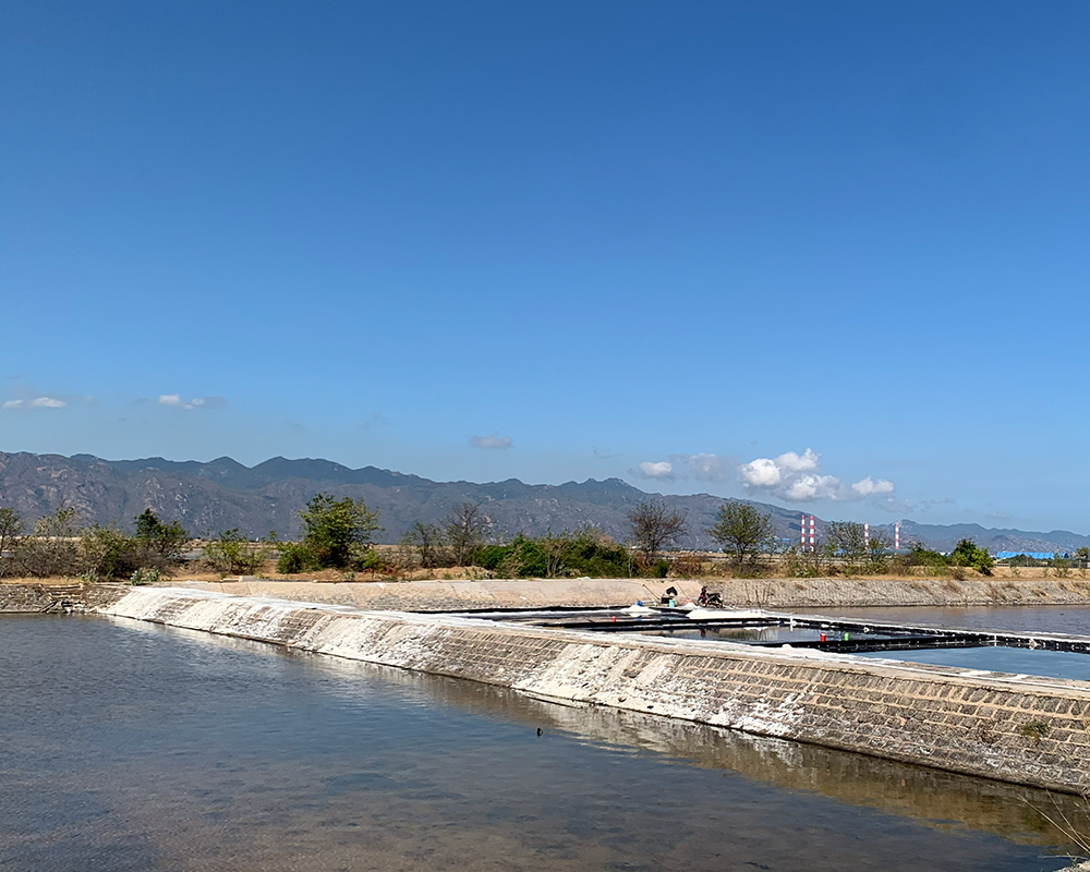 nước ót biển là gì