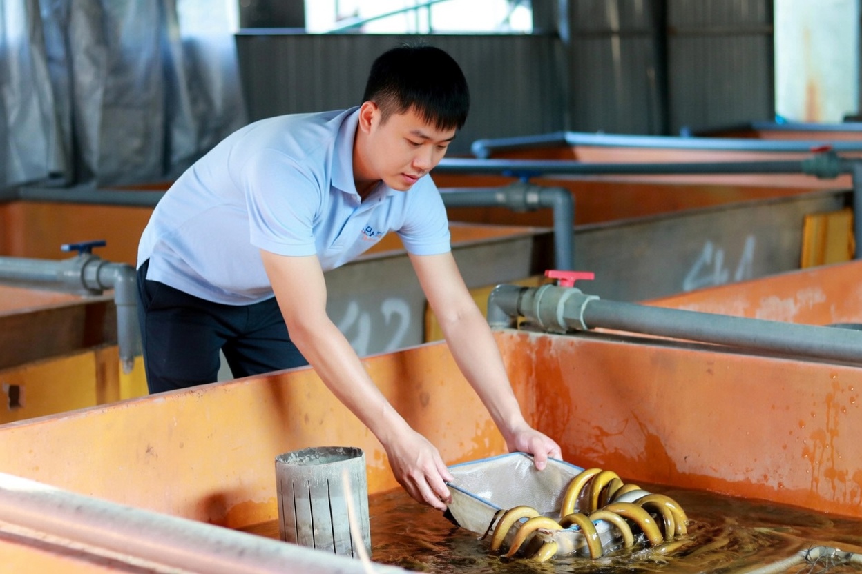 9X Làm Giàu Từ Mô Hình Nuôi Lươn Không Bùn: Bí Quyết & Kỹ Thuật