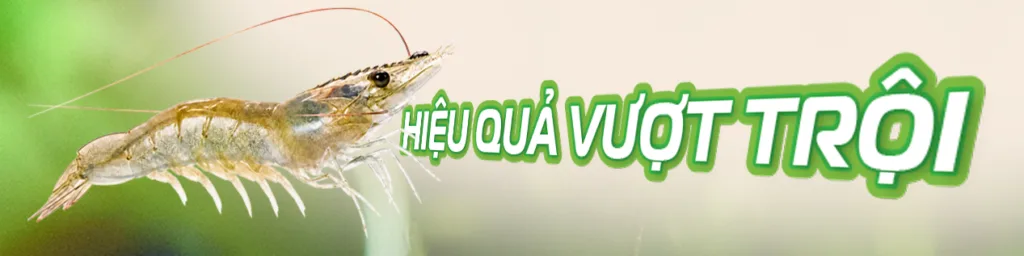 khoáng k3 hiệu quả vượt trội