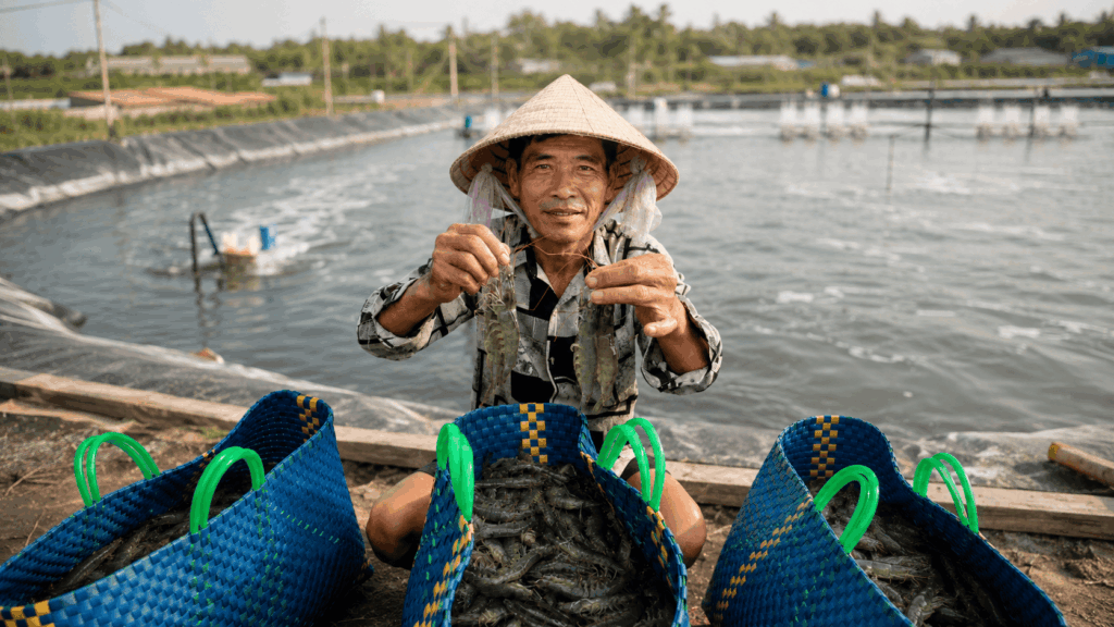 thu tôm đạt kết quả cao