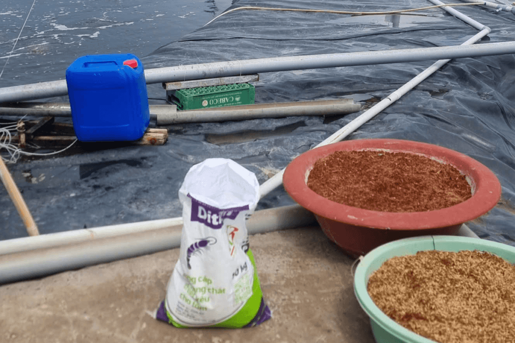 tạt khoáng đúng thời điểm khắc phục tôm lột xác chậm