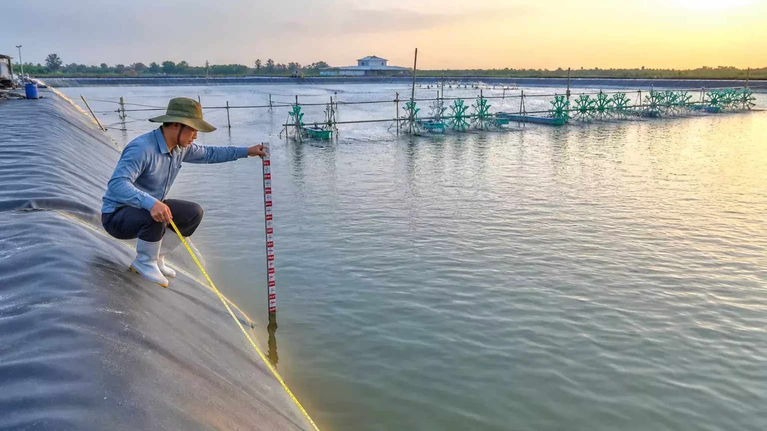tính thể tích ao tôm