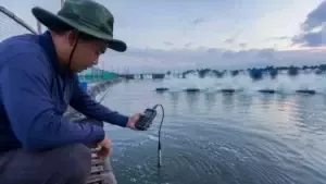 đo oxy ao tôm