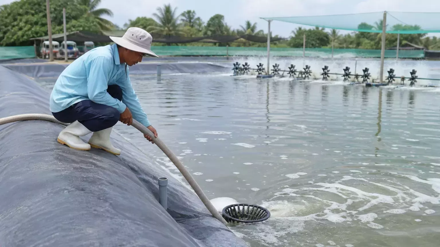 xi phông đáy ao tôm