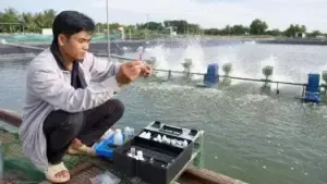 XỬ LÝ KHÍ ĐỘC NO2 TRONG AO NUÔI TÔM