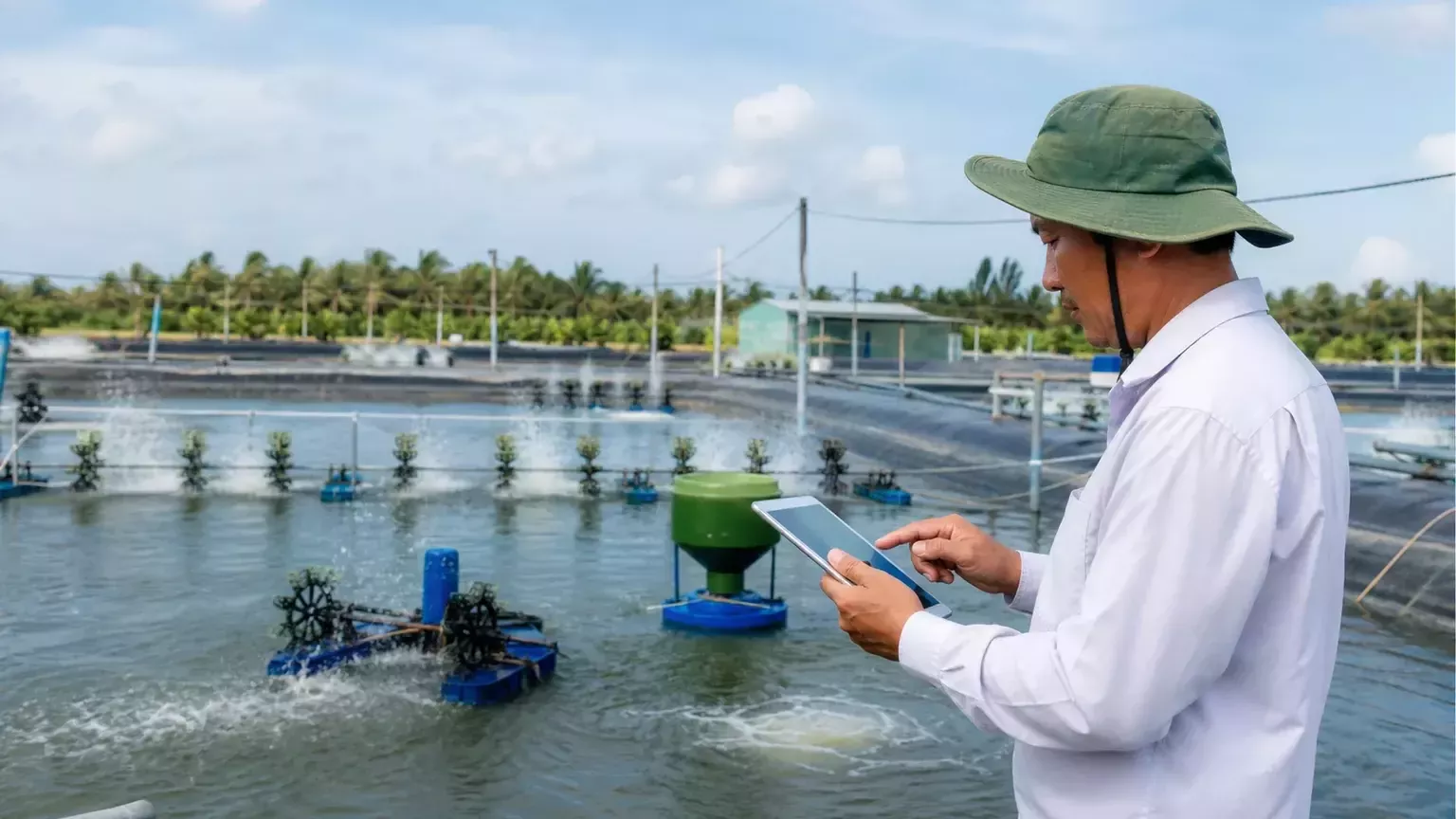 GIẢI QUYẾT BÀI TOÁN CHI PHÍ TRONG NUÔI TÔM THẺ THÂM CANH CÔNG NGHỆ CAO