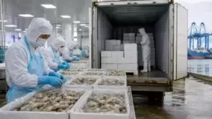 Triển vọng Xuất khẩu Tôm Việt Nam sang Vương quốc Anh: Lợi thế từ UKVFTA và Xu hướng Tăng trưởng