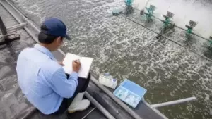 mẫu nhật ký ao tôm theo dõi khoáng