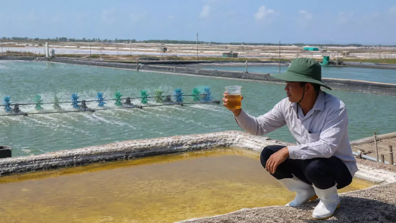 Nước ót biển là gì? Vai trò của nước ót biển trong nuôi tôm
