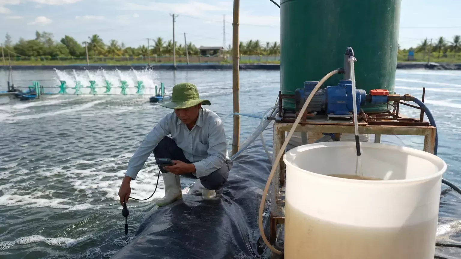 Nước ót biển trong nuôi tôm và cách kiểm tra trước khi dùng