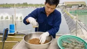 E.min dùng để làm gì? Công dụng và cách dùng trong quy trình chăm ao tôm