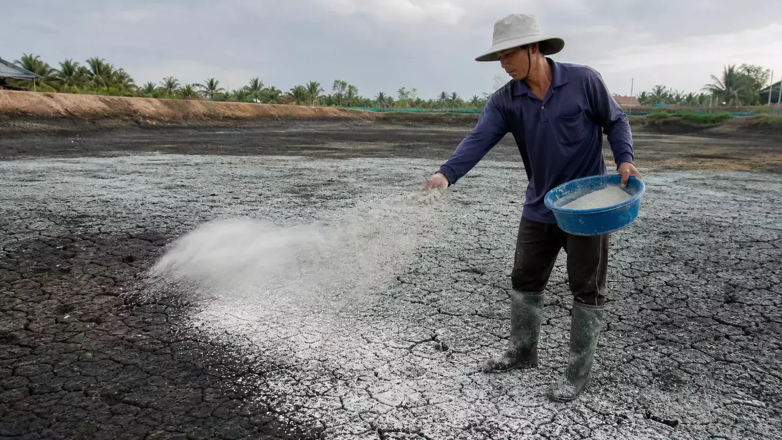 CẢI TẠO NỀN ĐÁY AO ĐẤT VỚI KHOÁNG UTIMI