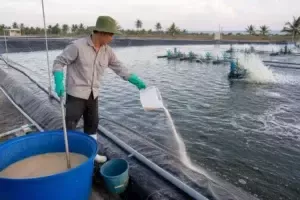 cách pha khoáng tạt