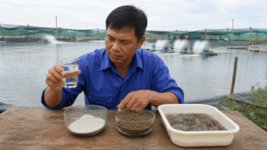 chọn khoáng cho ao tôm