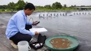 đánh giá ao sau khi tạt khoáng