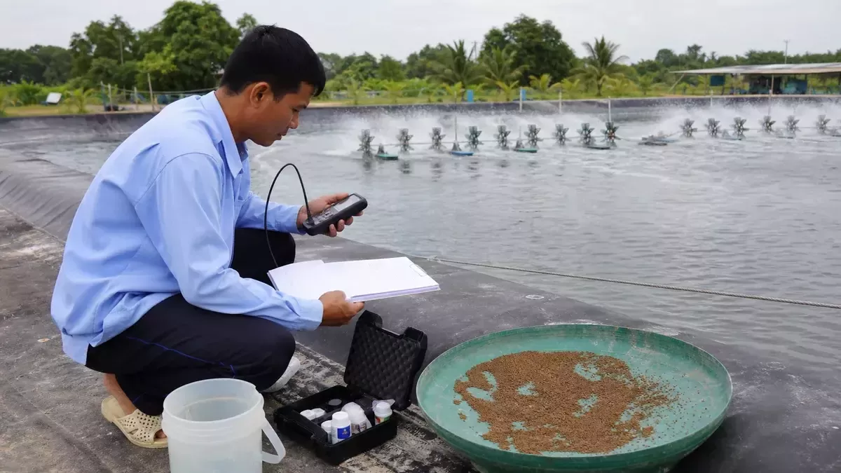 đánh giá ao sau khi tạt khoáng