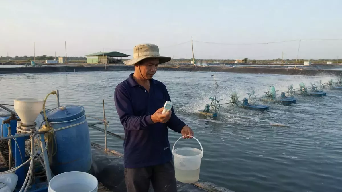 tạt khoáng cho tôm lúc nào