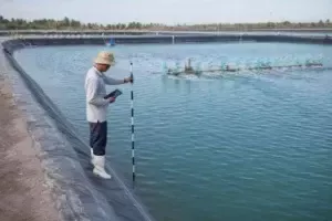 tính thể tích ao tôm